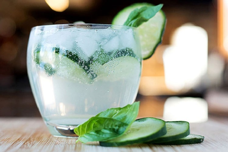 as 8 melhores marcas de gin do mundo