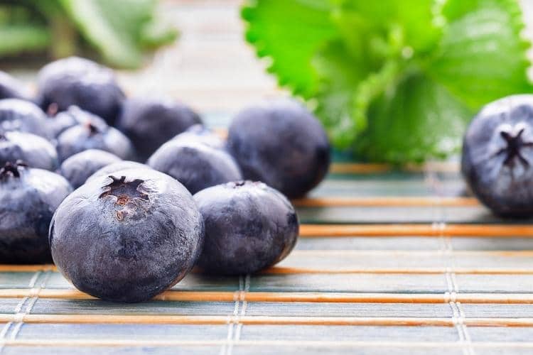 mirtilos blueberry o que é benefícios à saúde receitas como aproveitar