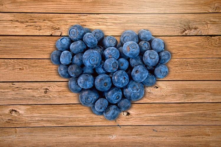 benefícios dos mirtilos blueberry para a saúde
