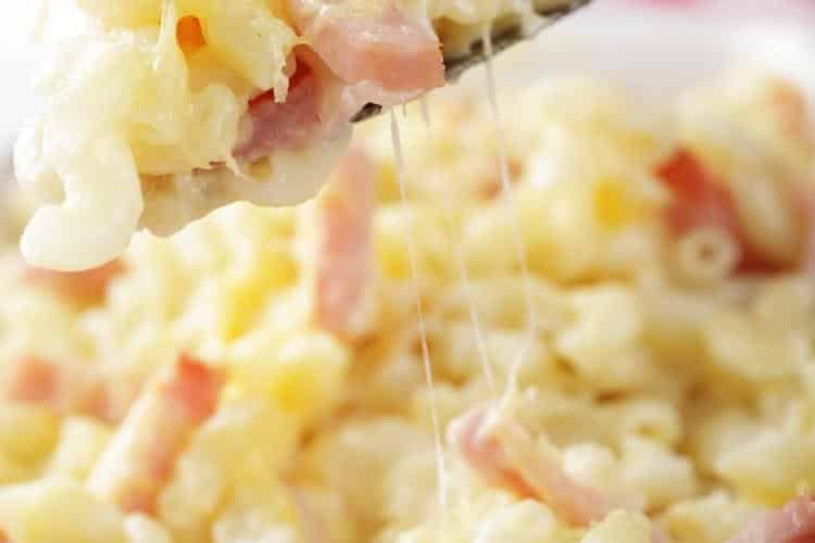 receita de macarrão cremoso com queijo e presunto que é uma delícia e muito prática